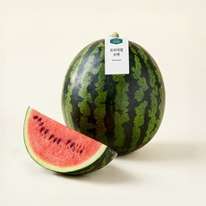 온브릭스 무농약 인증 프리미엄 수박, 7kg 미만, 1개