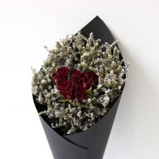 로맨틱노멤버 프리저브드 드라이플라워 미니 안개꽃다발 블랙, 와인 미스티