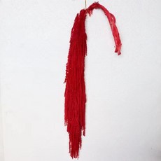 Sonio 永生花 柔軟長柳枝花束, 21 大紅色