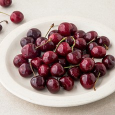 startree 미국산 체리, 550g, 1개