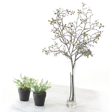 Daouf & G 綠色室內 korokia 人造茄子 2p + 玻璃花瓶套組, 綠色, 1組