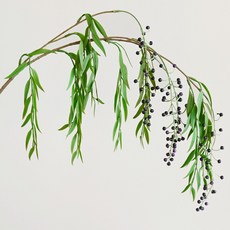 Garden in the City 柳樹莓果枝, 紫色, 1個