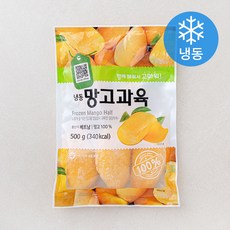 망고과육 (냉동), 1개, 500g