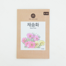 프레시가든 꽃씨앗 채송화, 1개