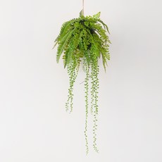 블루밍앤미 그린 믹스 플랜트 행잉 볼, 혼합색상, 1개