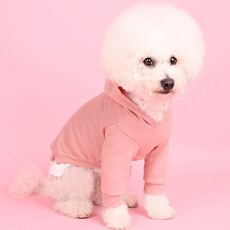 AWESOME KIDZ 狗狗多層次連帽T恤, 乾燥玫瑰色