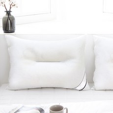 Nurihome空氣網眼雙面枕芯 2入, 白色的