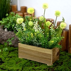 도시정원 민들레 화단 중, 옐로우그린, 1개