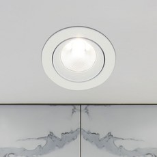 WONHA DS Dimming Choice COB 12W 無頻閃一體式LED吸頂燈 110mm, 白色(吸頂燈) + 晝光色(色溫)