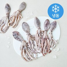 올프레시 살아있을때 얼린낙지 (냉동), 8개, 850g