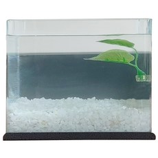 Aquatera 隔板懸掛式魚缸套組 60mm, 碳金屬（魚缸）