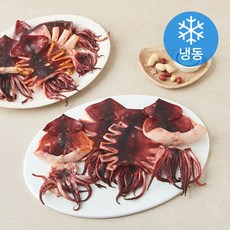 바다온 반건조 오징어 10미 (냉동), 1개, 1.3kg