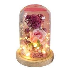 Hisplan LED 玫瑰是熊週年紀念的禮物, 紫色