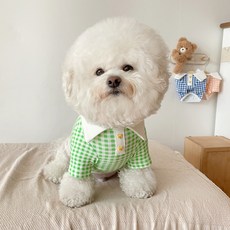 Baidamsumi 寵物格紋熊Polo衫, 綠色