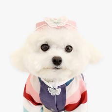 ITS DOG 寵物 Ayun Ayam, 混合色