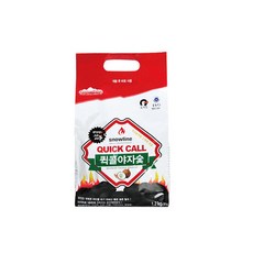 스노우라인 퀵콜 야자 숯, 1.2kg, 1개