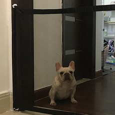 寵物圍欄, 黑色, 1個