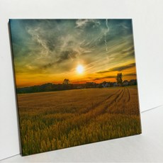 UDP 磁磚相框 A型 3919997, 單一顏色