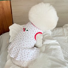 bydamsoomi 狗狗Viva櫻桃連身裙, 紅色