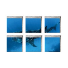 World Moment 防滑浴缸貼紙 13 x 13 cm 6件組, 30, 1個