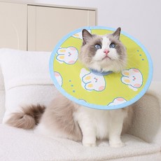 PASTEL PET 寵物圖案頸圈, 1個, 綠色