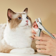 PASTEL PET 寵物基本型不鏽鋼趾甲剪 均碼, 銀, 1個