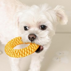 Bbosiraegi 狗狗O型潔牙玩具, 1個, 香蕉