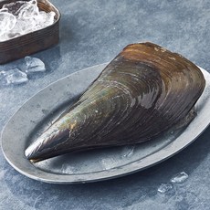 노량진수산시장 키조개 (냉장), 1개, 250g