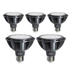 DOOYOUNG LED 燈泡 軌道燈 聚光型 15W PAR30, 5個, 晝光色
