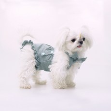 PASTEL PET 寵物蝴蝶結吊帶禮貌褲, 1個, 綠色