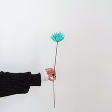 가팡 국화 드라이플라워, 블루 (09번/DRYB12309)