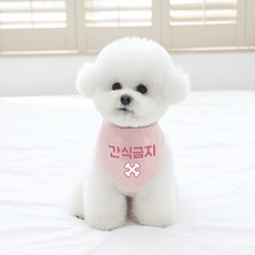 리토가토 반려동물 간식금지 스카프 L, 핑크, 1개