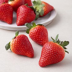 스윗볼 GAP 인증 유러피안 딸기, 500g(특대과), 1팩