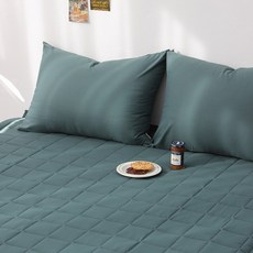 LucidSleep 艾蜜莉 防過敏水洗固定式睡墊, 雨林綠