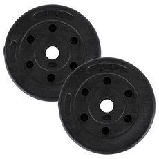 아리프 PVC 코팅 다이나믹 경량 바벨 원판 30mm용, 3kg, 2개, 블랙