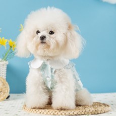 Lanboer 寵物花朵透視荷葉邊連身裙, 藍色, 1個