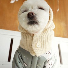 petit dog 狗狗Collin日常帽, 象牙白, 1個