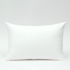 BOWELL 超細纖維抱枕芯, 1個, 白色