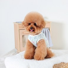 AMYLOVESPET 寵物 LA 可愛熊 絎縫背心, 薄荷綠