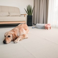 딩동펫 반려동물 블럭카페트 20p, 아이보리