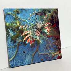 HTP 磁磚 紅獅子魚圖案 C2767