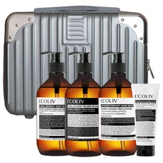 ecoliv 銀色硬殼收納盒 24*31*15cm+花香洗髮精 500ml+花香沐浴露 500ml+薰衣草洗手乳 500ml+奶油牛奶潔面露 120ml 組, 1套