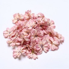 Maket Gamseong 乾燥花裝飾花 70入, 6