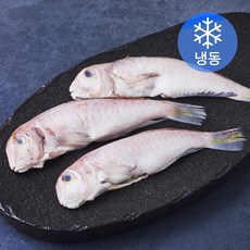 제주 통옥돔 3미 (냉동), 400g, 1개