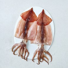 국내산 손질 오징어 2~3미 (냉장), 1개, 380g