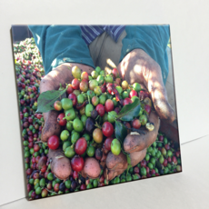 HTP C36 滿手咖啡 燒製磁磚