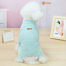 딩동펫 파스텔 올인원, 민트, 1개