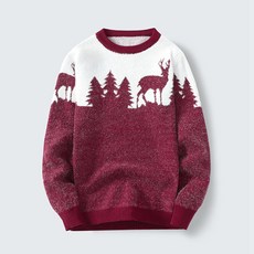 男款AOULS AULS戶外配色圓領毛衣 9818