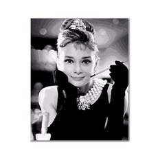 ADICO DIY 鑽石畫 奧黛麗的微笑 40 x 50 cm BF05, 混合色, 1個