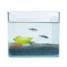 Rora Pet 迷你黑土魚缸套組, 水草(隨機出貨)